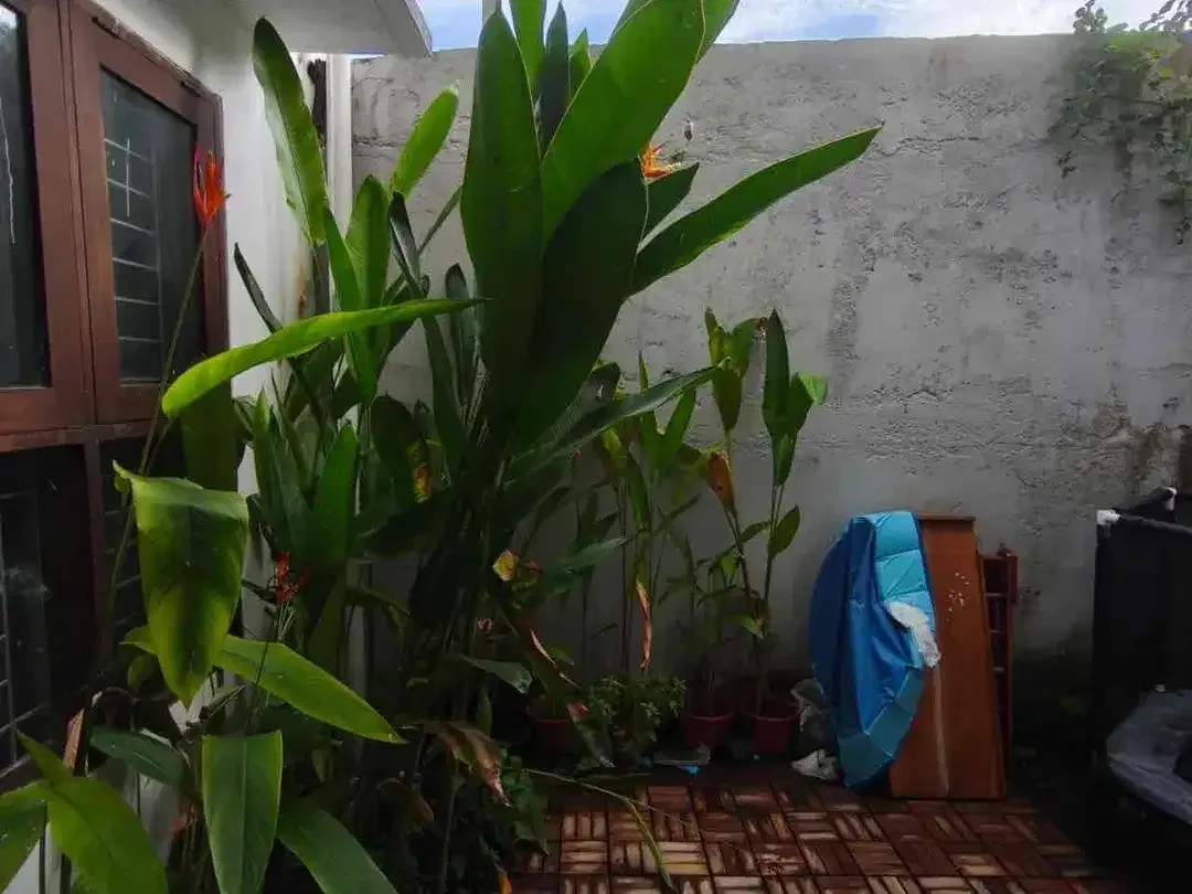 Dijual Rumah Minimalis di Taman Griya Jimbaran - Image 8 of 9