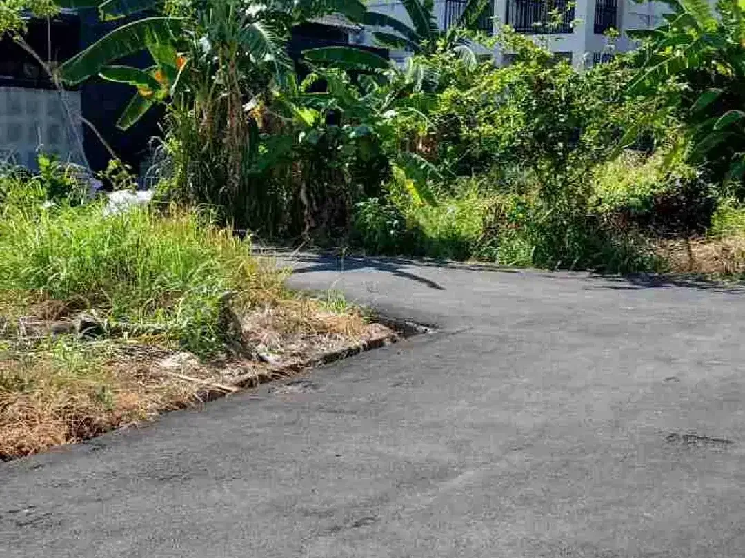 Di jual tanah jalan Sedap malam , Kesiman , Denpasar, Bali - Image 6 of 7