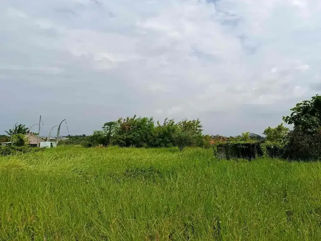 Dijual lahan zona pariwisata lokasi cemagi dekat pantai dan kawasan villa elite. - Image 3 of 3
