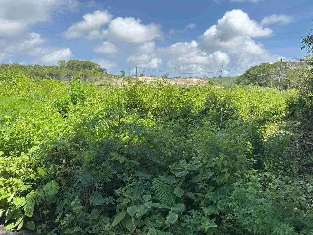 Tanah Nusa Dua Dekat Pantai Bisa Ambil 500 m² - Image 6 of 10