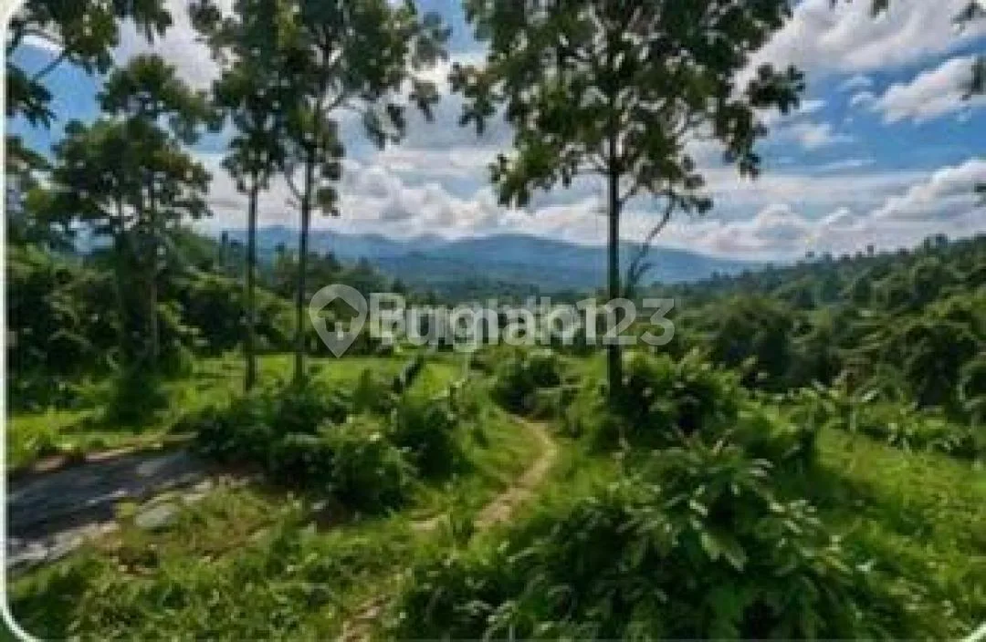 Tanah Luas dan Strategis di Petang Cocok Utk Villa dan Investasi - Image 1 of 3