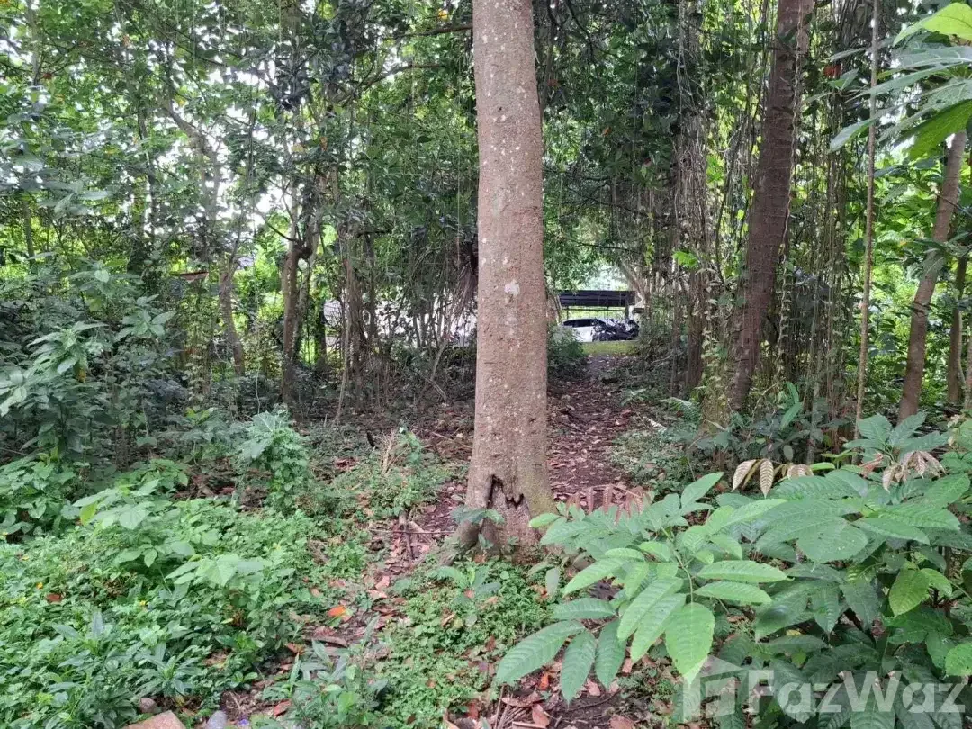 Land for sale in Ubud, Bali - Image 10 of 10