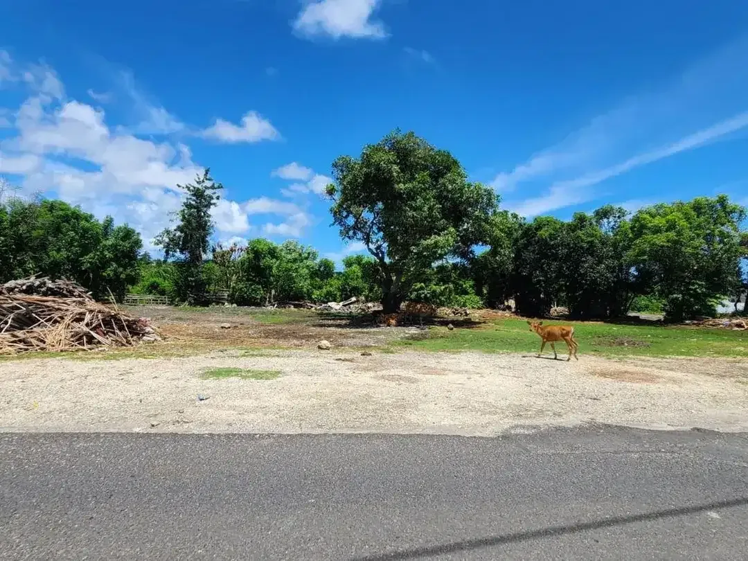 Land Premium Location For rent, Melasti Area. - Image 1 of 6