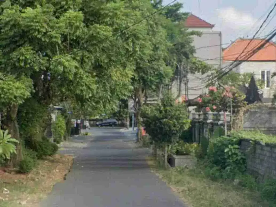 TANAH PREMIUM BADAK AGUNG 100 METER DARI JALAN UTAMA COK AGUNG TRESNA RENON SUDAH TEMBOK KELILING - Image 3 of 10