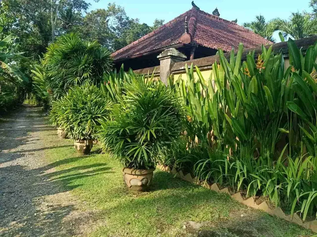 Dekat Pantai Pasut! Lahan Komersial 800m² Harga Menarik - Image 5 of 10