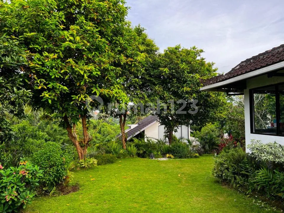 Rumah Ubud - Image 3 of 4