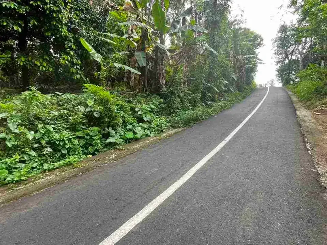 jual tanah kebun aneka buah lokal area pemukiman di tabanan bali. - Image 1 of 10
