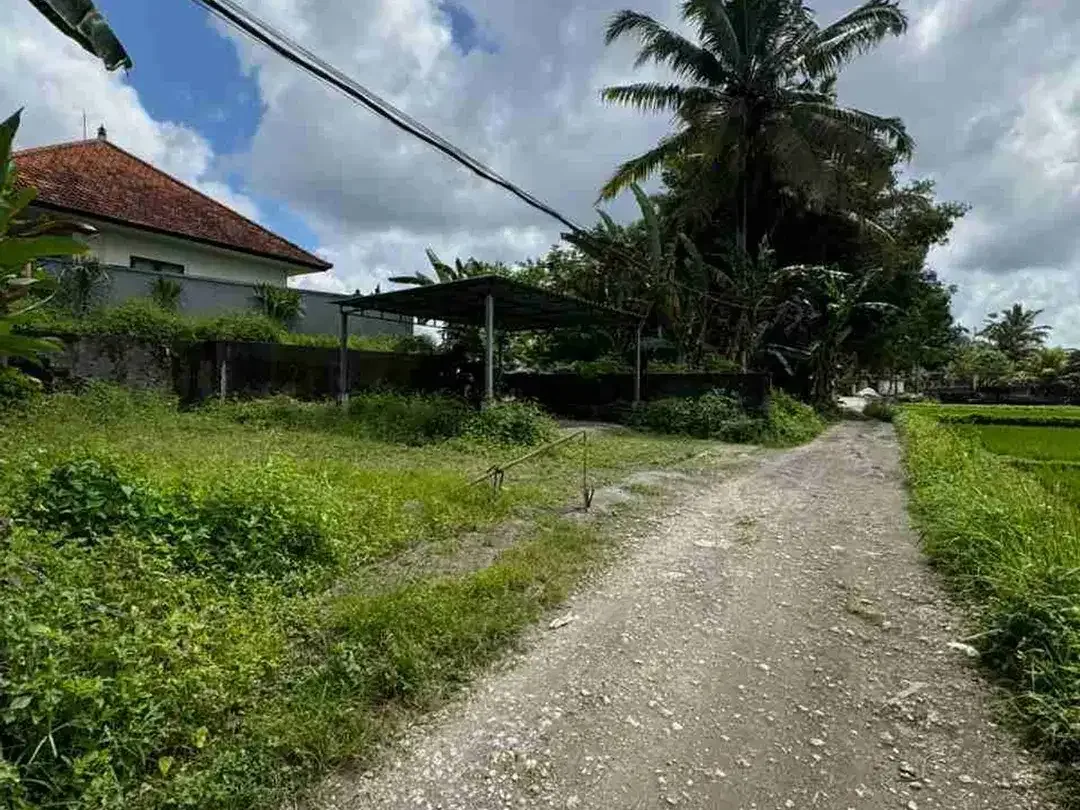 Tanah View Sawah Abadi Bonus Rumah Style Vila di Ubud - Image 4 of 10