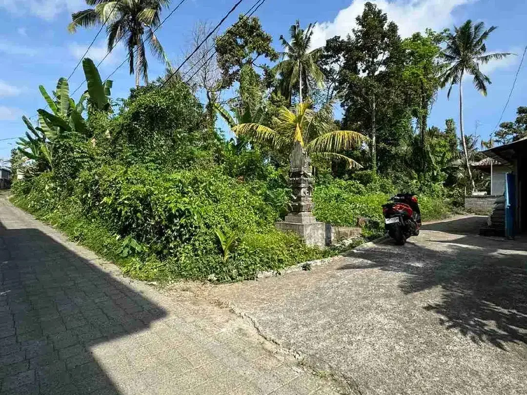 Tanah Strategis di Kedewatan Ubud Cocok untuk Vila dan Investasi - Image 2 of 10