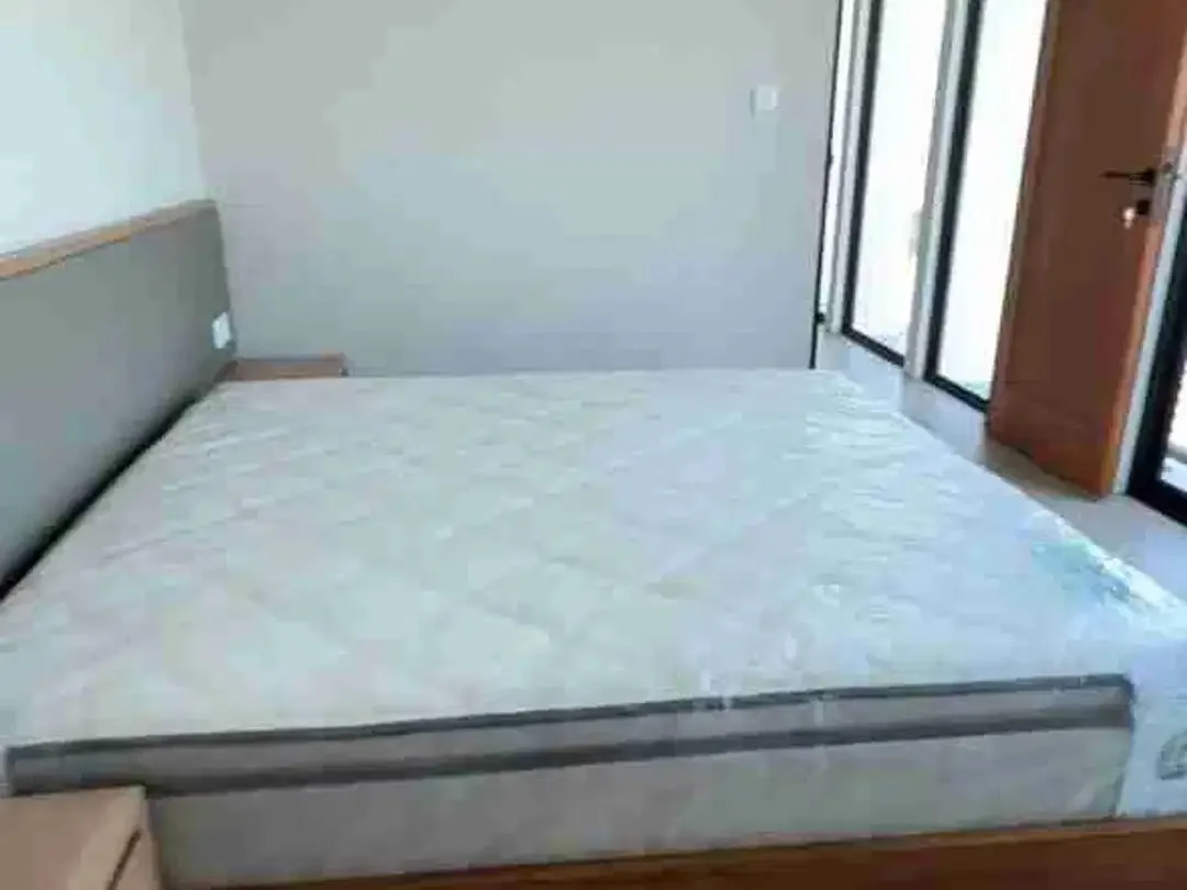 Dijual Villa Baru di Pegending Canggu Bali – 2 Kamar Tidur, Private Pool & Furnished - Image 4 of 6