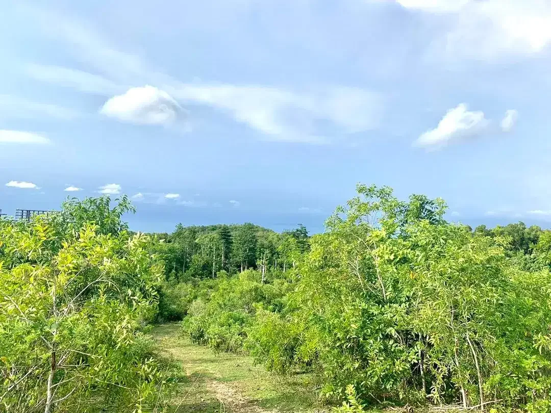 FOR SALE TANAH PREMIUM STRATEGIS AREA PECATU INDAH RESORT - Image 4 of 10
