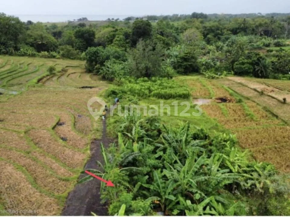 Boutique Tourism Land Near Munggu & Cemagi Beach - Image 3 of 4