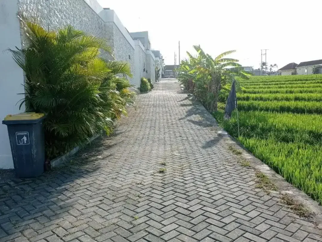 TANAH SUPER PREMIUM WITH RICE FIELD VIEW DI JL SUBAK SARI CENTER CANGGU - Image 9 of 10