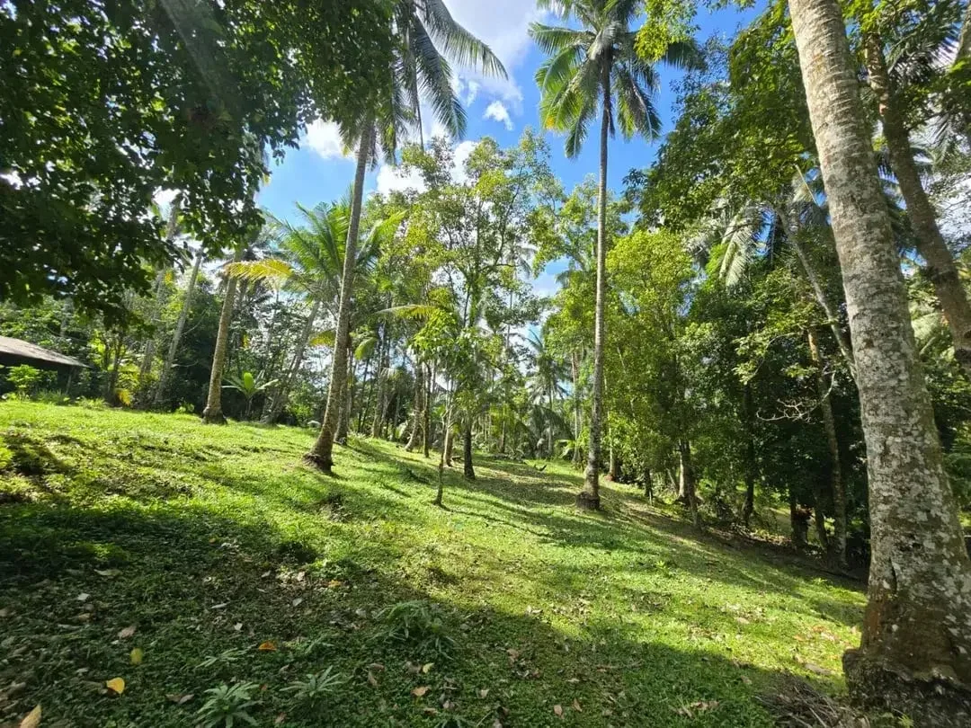 DIJUAL TANAH MURAH DI TABANAN - Image 9 of 10