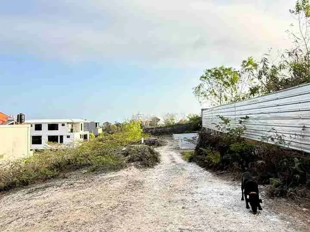 Jual Cepat Tanah Luas 2are/200m Lokasi Gg, jepun Pura matsuka Ungasan Zona Kuning Hadap Barat. area Investasi - Image 8 of 10