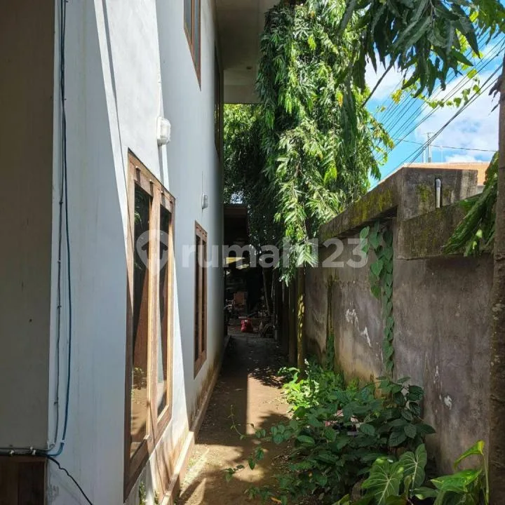 Dijual Rumah Klasik Luas Asri Dkt Pantai Sanur Denpasar Bali - Image 3 of 4