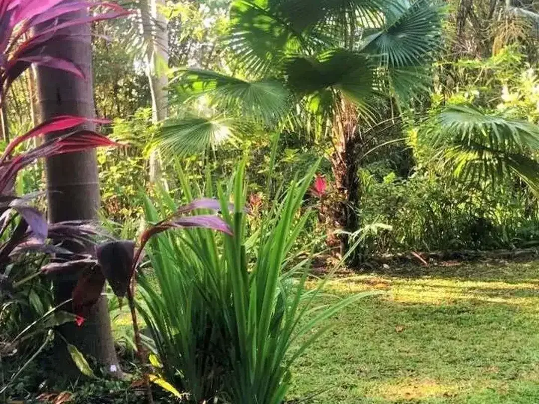 Land for sale in Pererenan, Bali - Image 6 of 10