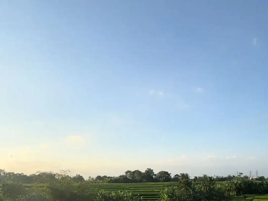 10 Menitan Canggu Tanah Dijual View Sawah, Sunset, Sunrice, Mountain - Image 8 of 10