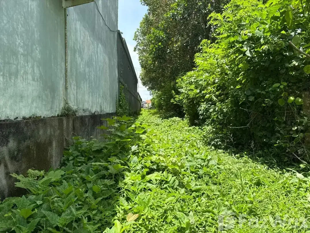 Land for sale in Kedungu, Bali - Image 4 of 10