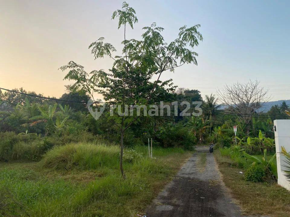 Strategic 370 MÂ² Freehold Land For Sale In Lovina - Image 4 of 4
