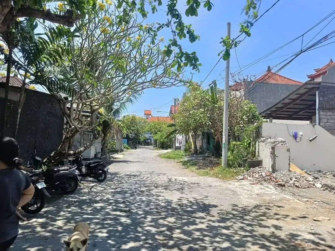 Tanah pemuda renon denpasar - Image 4 of 6