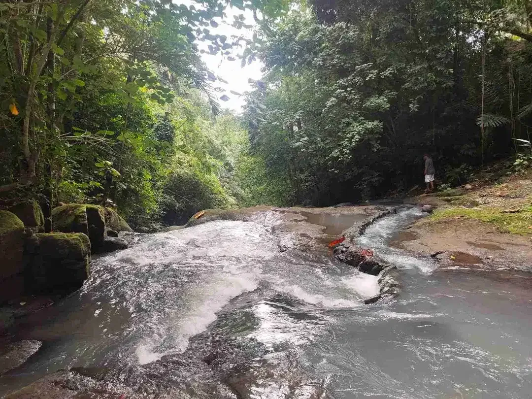 jual tanah kebun view air terjun kawasan villa di tabanan bali. - Image 2 of 10