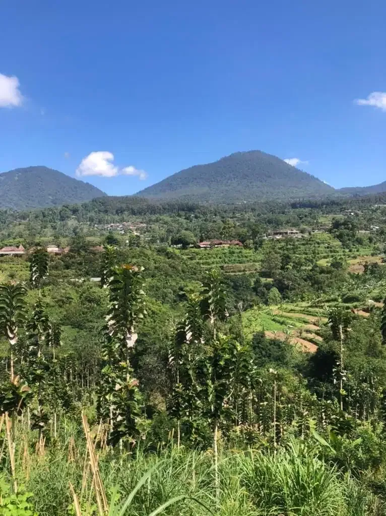 Tanah View Bukit Baturiti Tabanan Bali - Image 2 of 8
