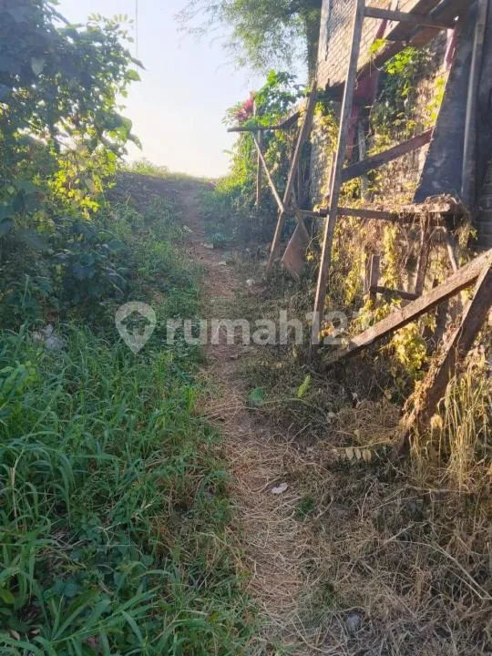 Tanah Luas Strategis Zona Kuning Tabanan Bali - Image 3 of 4