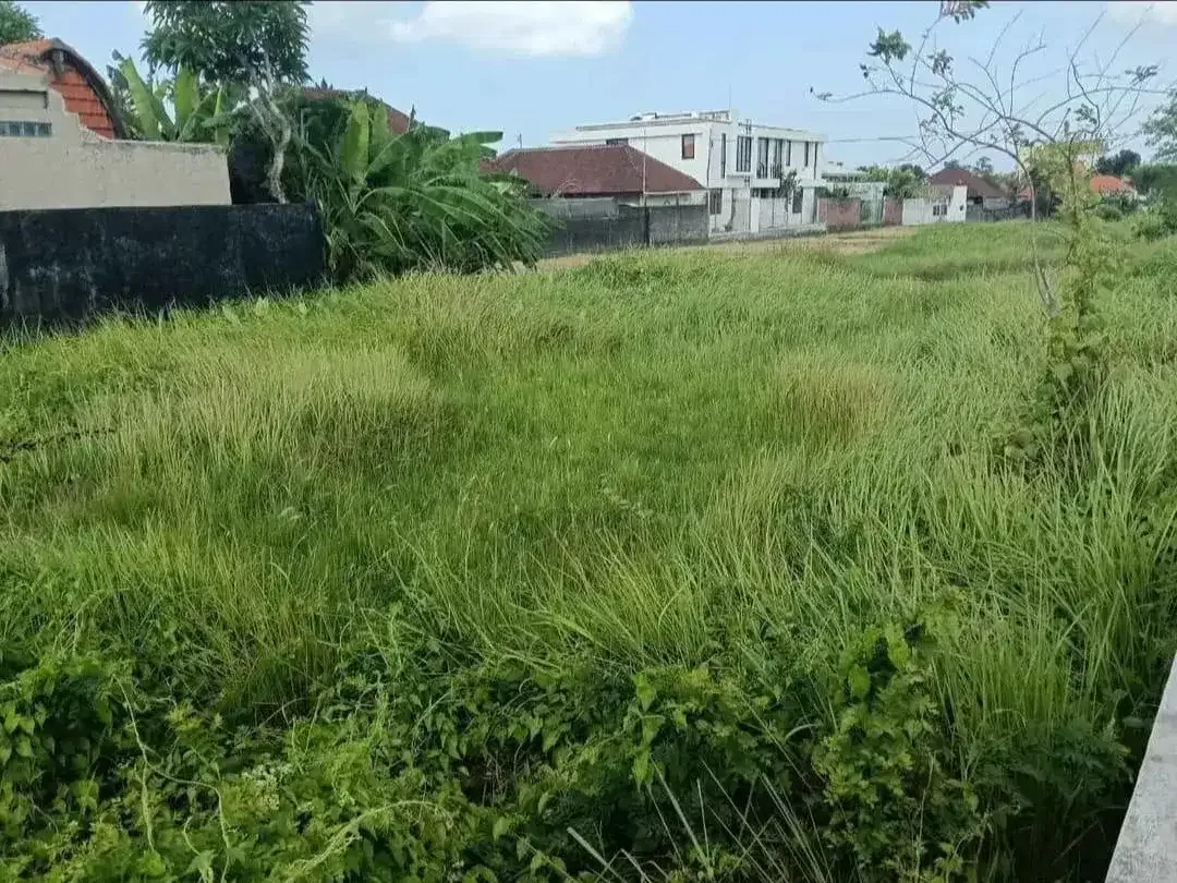 Tanah Komersil Tegal Cupek Kerobokan Bali - Image 5 of 7