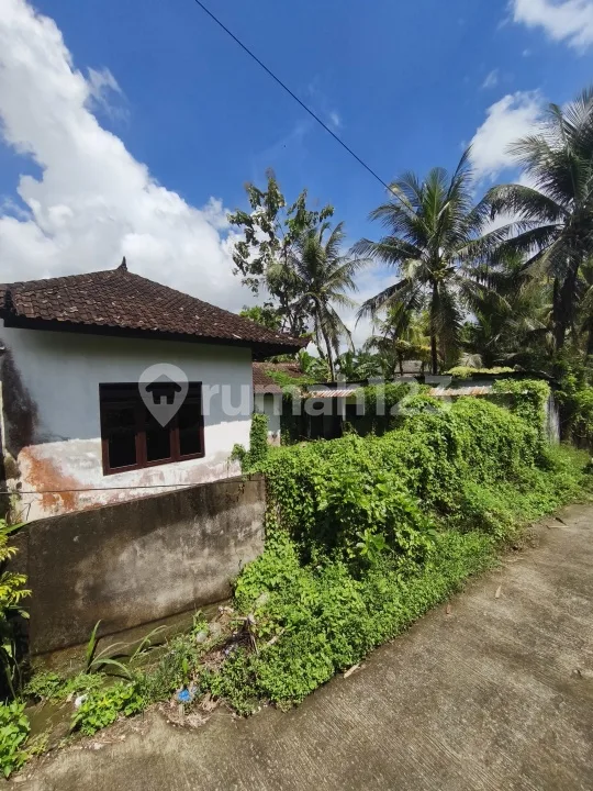 Rumah Murah LT 2 Are di Bawah Pasaran Hanya 500 Juta di Tabanan - Image 2 of 4