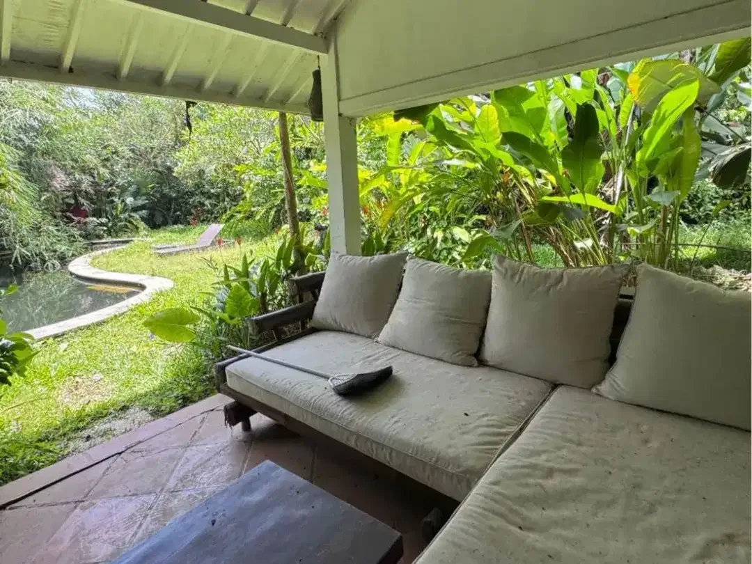 Freehold, Dijual Villa Jungle Need Renovation - Berlokasi di Pegending, Canggu - Image 2 of 7