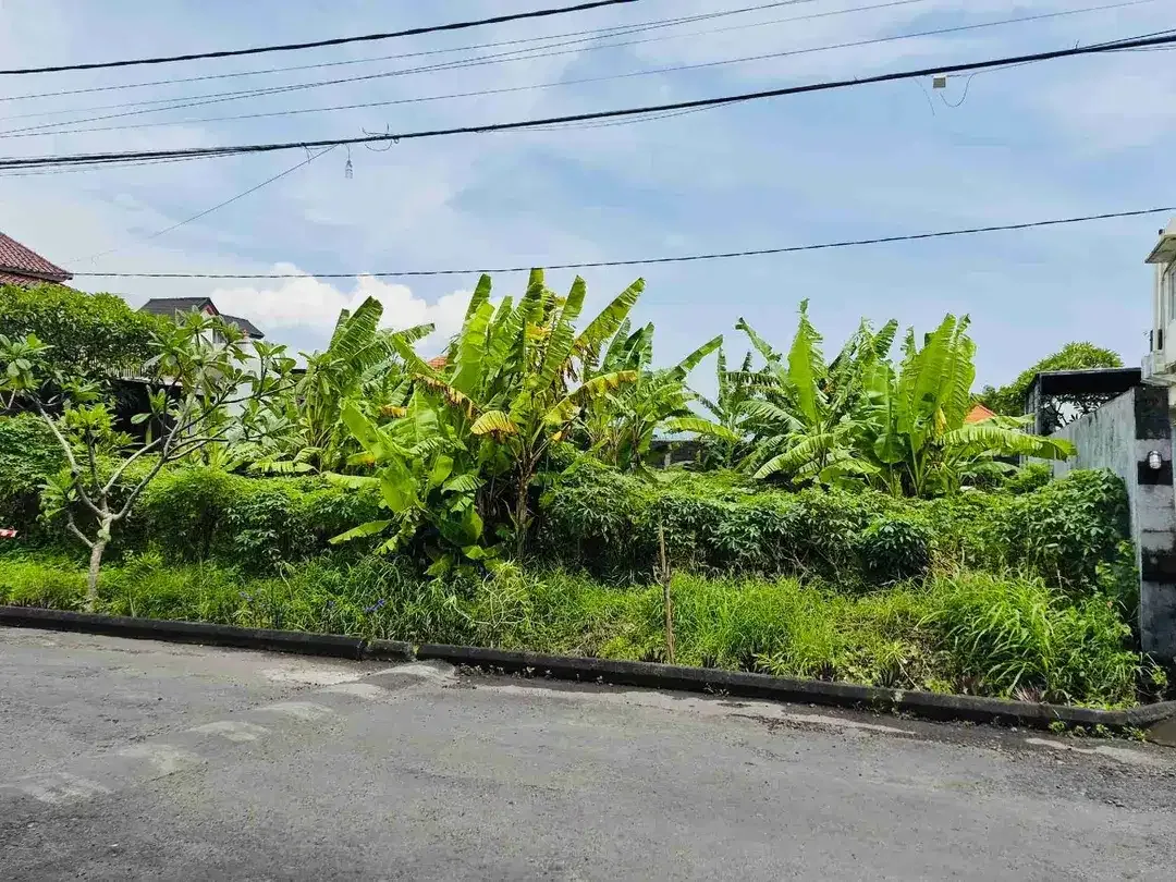 Tanah badak agung renon - Image 6 of 7