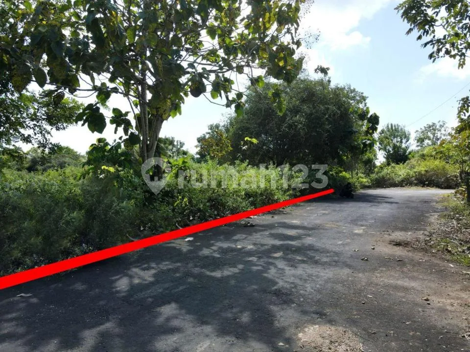 Langka Hanya 1 Kilometer ke Balangan Beach - Image 1 of 4