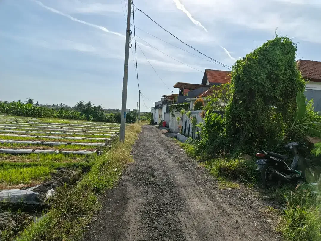 HOT DEAL LEASEHOLD! 4 ARE LAND SESEH – RICE FIELD VIEW, 5 MIN TO BEACH - Image 5 of 5