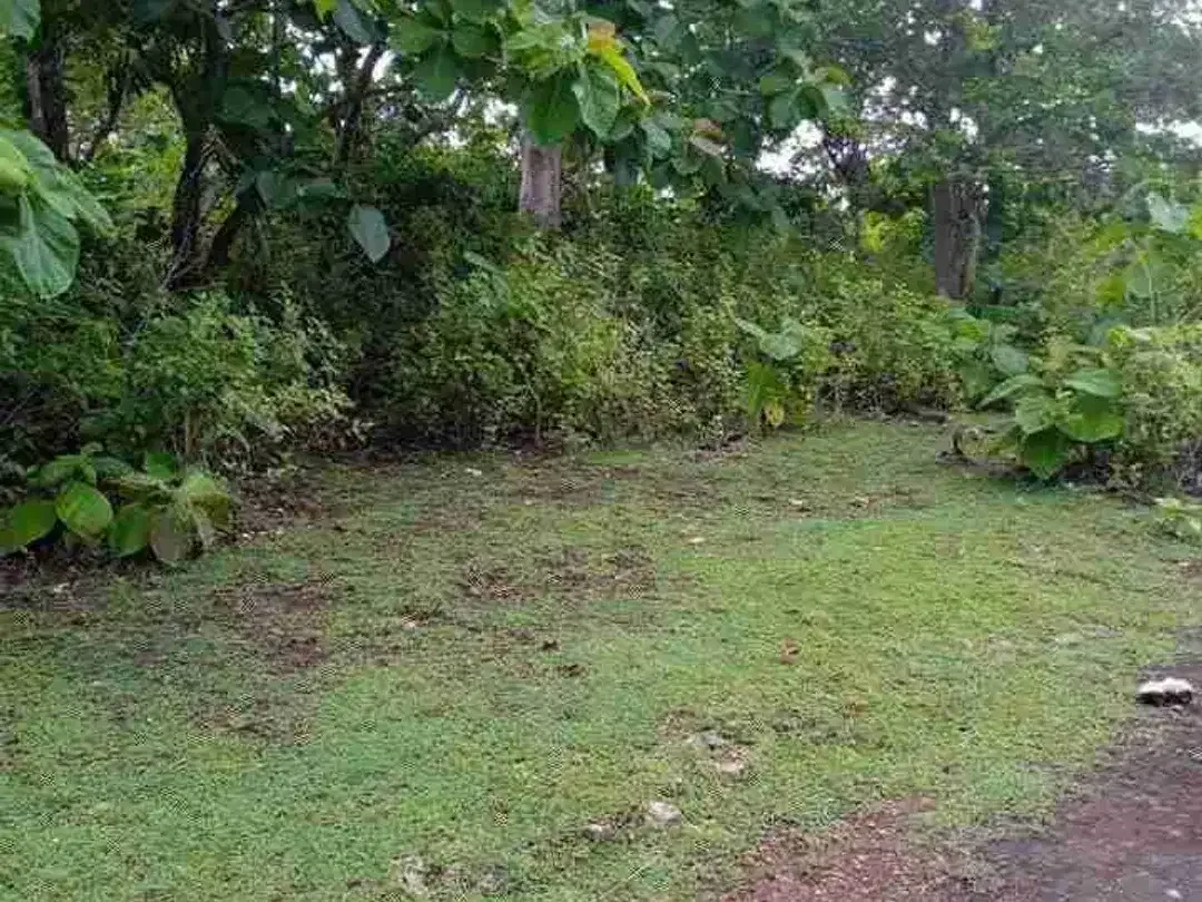 dijual tanah 2,05 hektar IDR 500 juta per are  kawasan pantai balangan jimbaran badung bali - Image 5 of 10