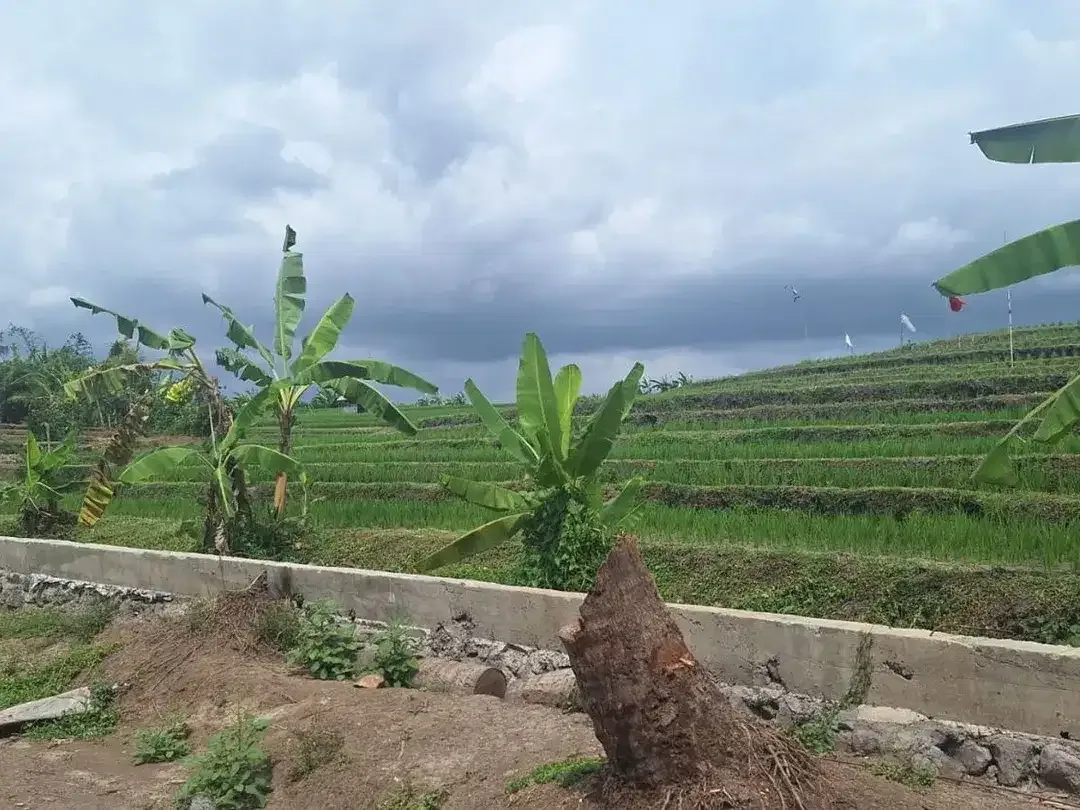 For Sale Freehold - Land area Tumbak Bayuh - Image 4 of 10