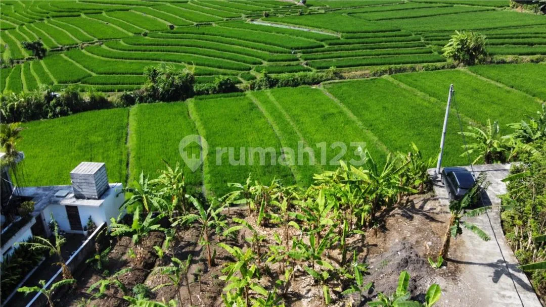 Di Jual Tanah Bebas Banjir di Tumbak Bayuh Cst087 - Image 1 of 4