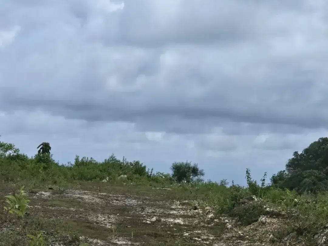 TANAH DI JUAL ATAU DI SEWAKAN VIEW LAUT LOKASI BINGIN CEMONGKAK - Image 9 of 10