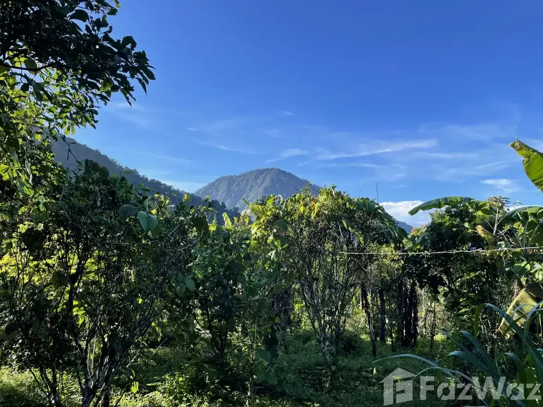 Land for sale in Banjar, Bali - Image 3 of 10