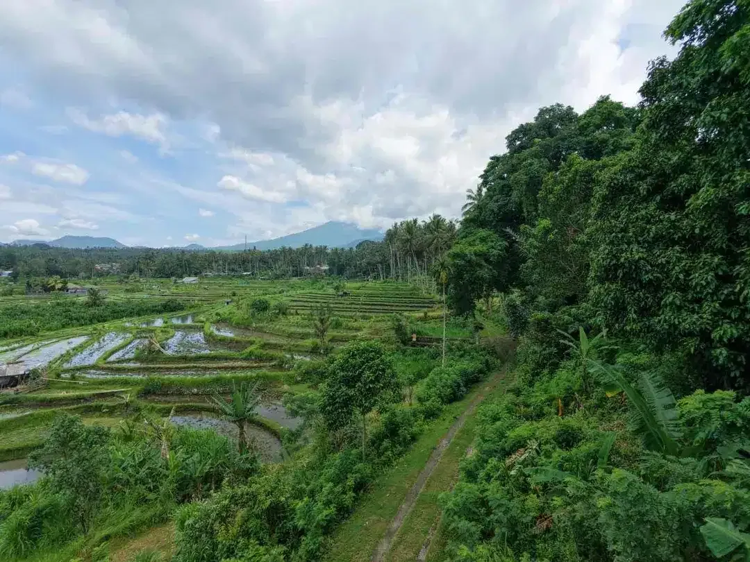 Tanah sebelah The Kayon Resort Tirtagangga - Image 2 of 7