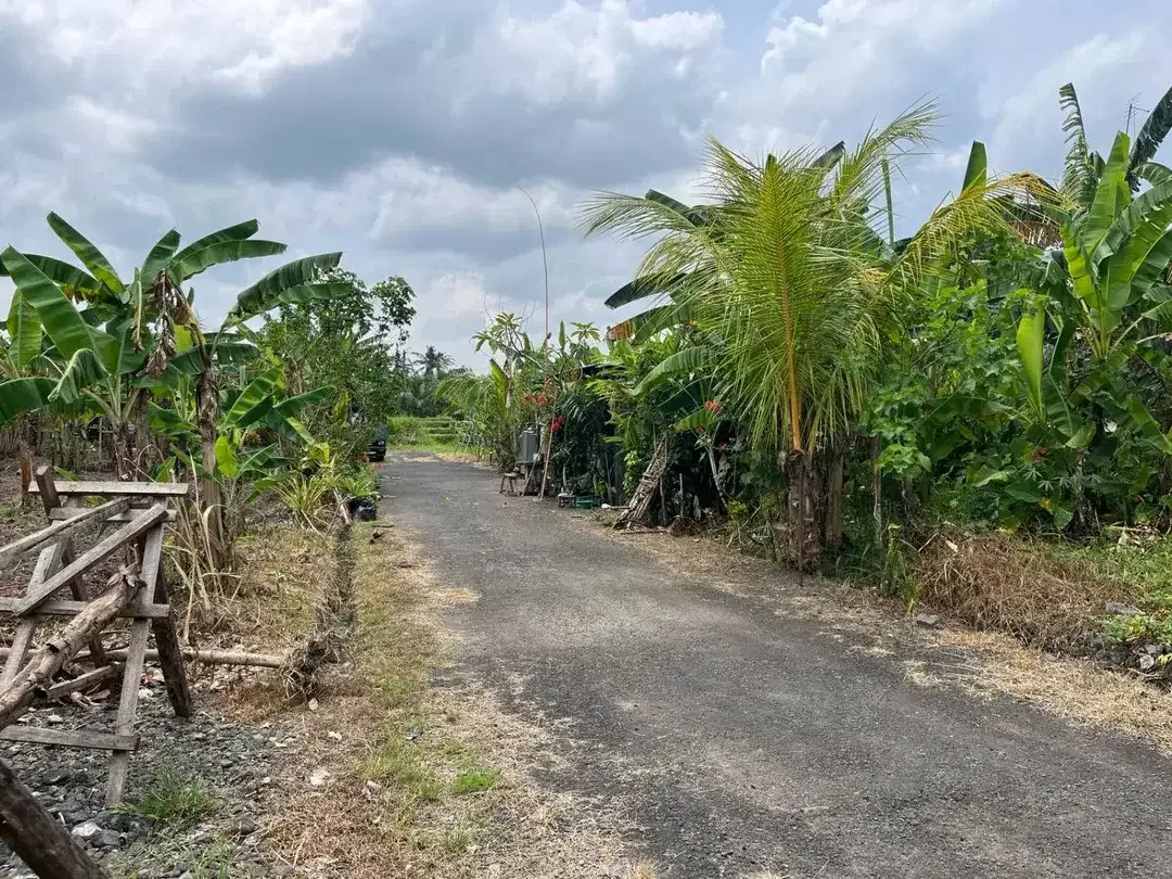 Dijual Tanah lingkungan tenang aman dan nyaman View Sawah dekat dengan kota Tabanan, sangat cocok untuk di bangun rumah,villa, maupun investasi. - Image 8 of 8