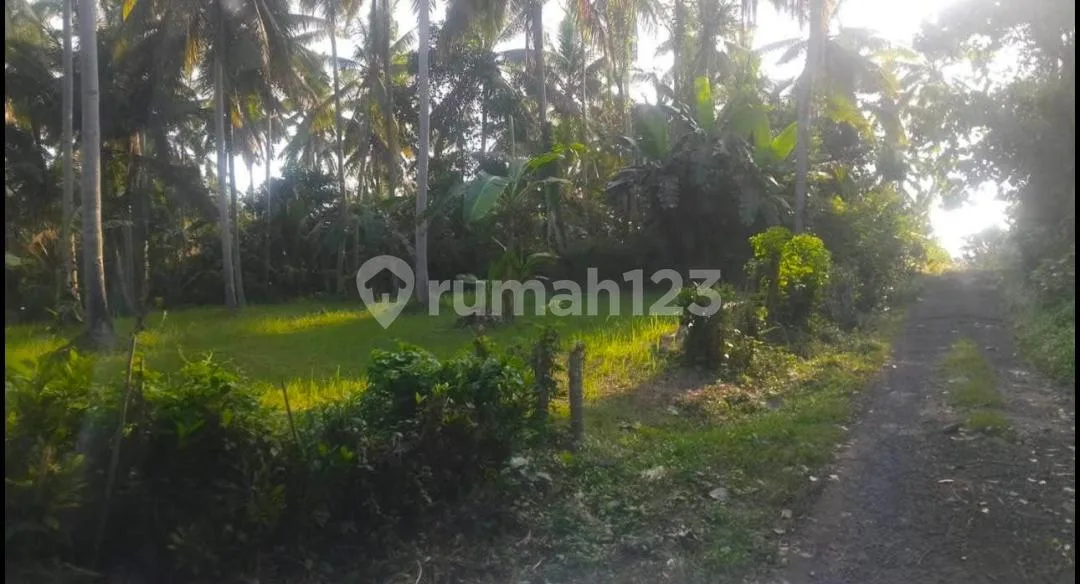 Tanah Siap Dikembangkan di Pakutatan Jembrana - Image 4 of 4