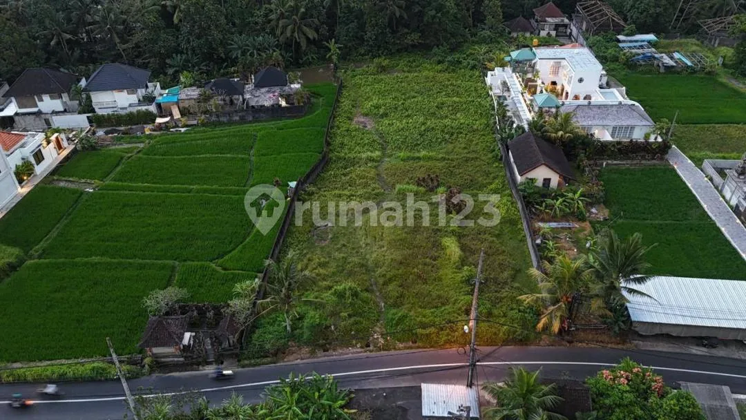 Central Ubud - Strategic Commercial Leasehold Land - Image 4 of 4