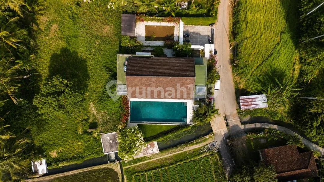 Dijual Luxury Villa - Ubud View Alam yang Indah dan Tenang - Image 2 of 4