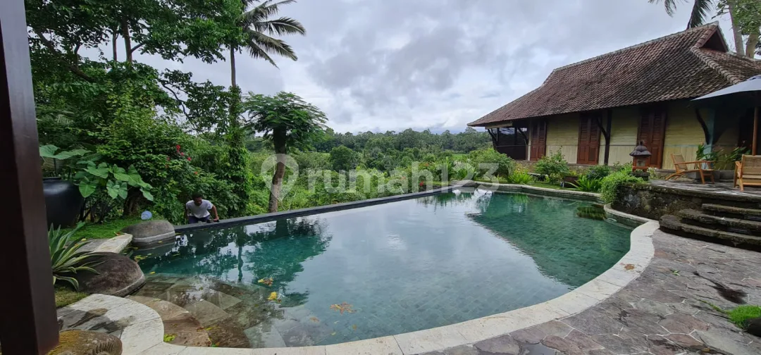 Private Resort 2400M2 + Fasilitas Selengkap Resort Mewah - Image 2 of 4