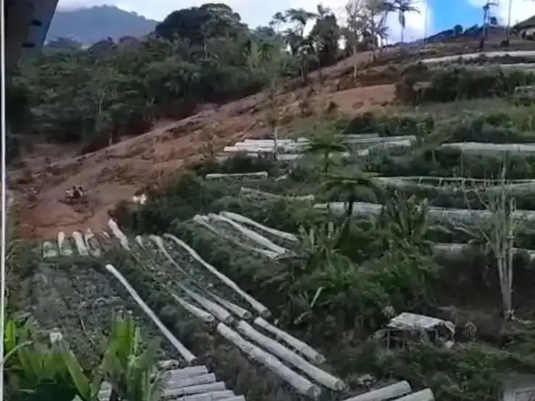 Land for sale in Baturiti, Bali - Image 3 of 6