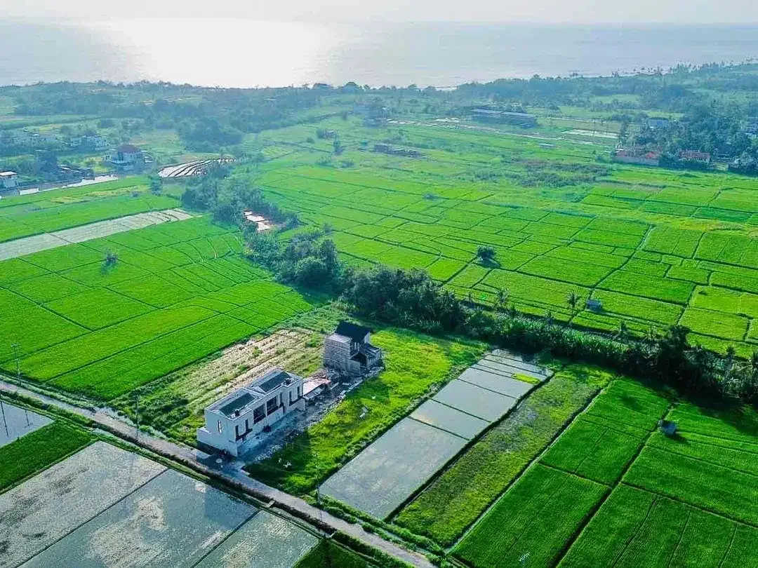 Disewakan Tanah Jl Pantai Kedungu - Image 3 of 3