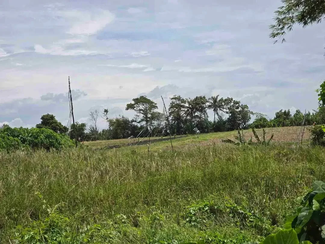 dijual tanah kecil dekat pantai pasut tabanan bali - Image 6 of 10
