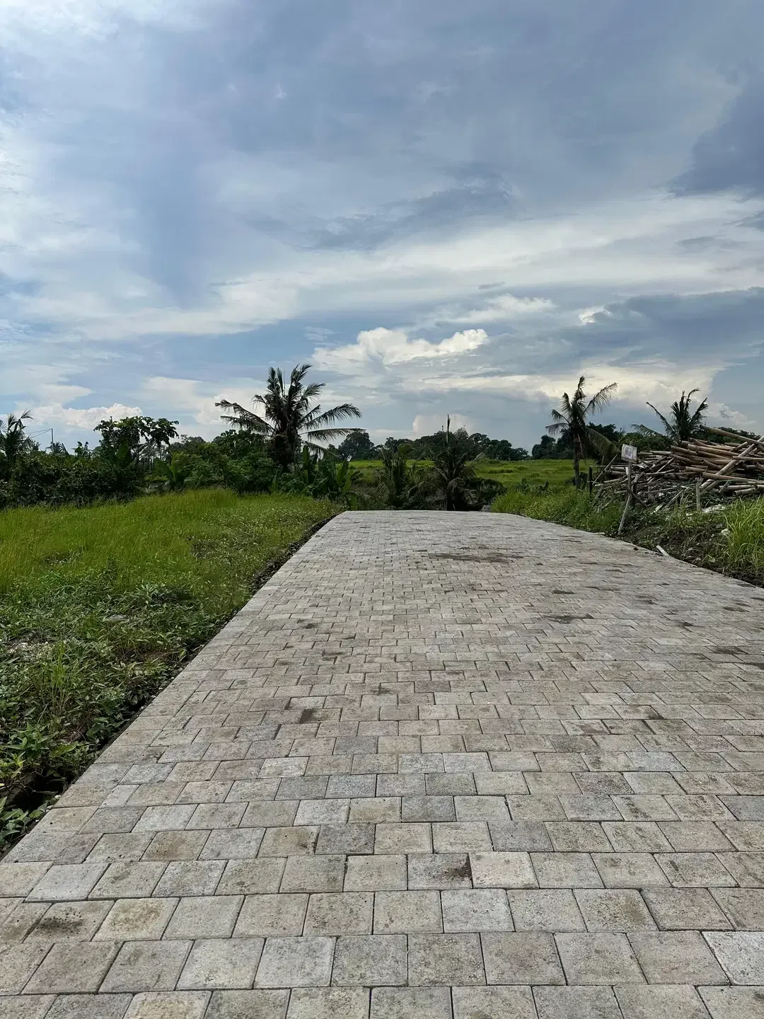 KEDUNGU LAND FOR SALE NEAR NUANU LUNA BEACH CLUB - Image 7 of 10