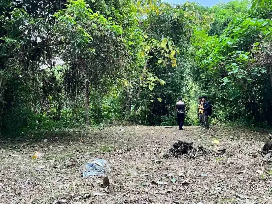Dijual Tanah 3,6 Are View Sungai dan perkebunan cocok Usaha Villa - Image 3 of 5
